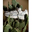 Mercer The Re-Run Cactus white/green