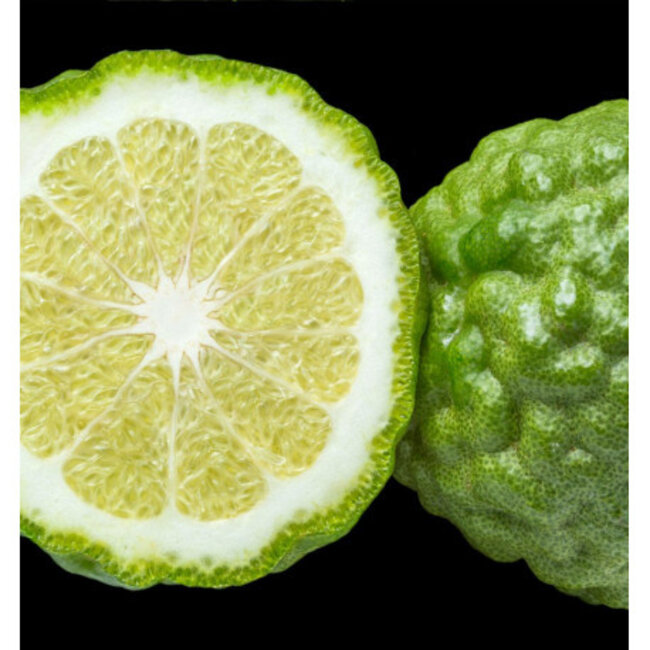 Parfum 15ml acqua per uomo