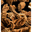 Parfum 15ml root