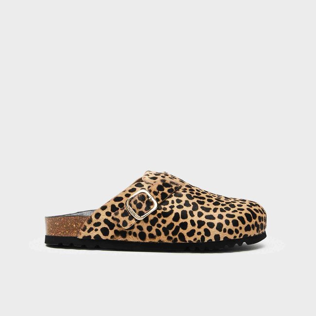 Scholl FAE PonyLea-W Leopardato