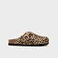 Scholl FAE PonyLea-W Leopardato