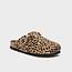 Scholl FAE PonyLea-W Leopardato