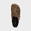 Scholl FAE PonyLea-W Leopardato