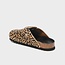 Scholl FAE PonyLea-W Leopardato