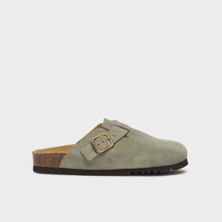 Scholl FAE SueSP-W salvia
