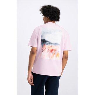 Law Of The Sea BLOOM Winsomee Orchid