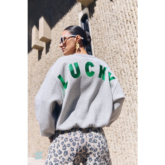 BY BAR bibi lucky curve sweater grey melee