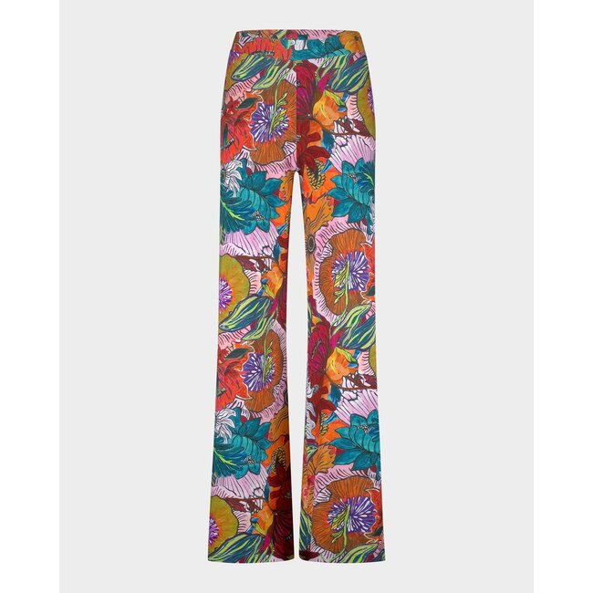 Stieglitz Matias Palazzo Multi