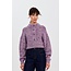 CKS PILOTA  PAP purple pastel