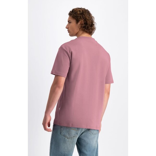 LAW-10265 SEISMIC Nostalgia Rose