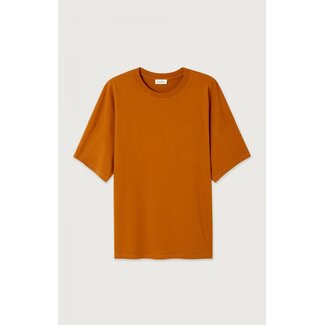 American vintage FIZVALLEY T-Shirt TERRE CUITE VINTAGE