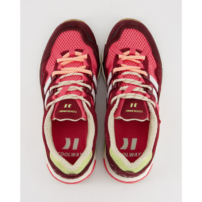 Sneakers DRAGON FRUIT