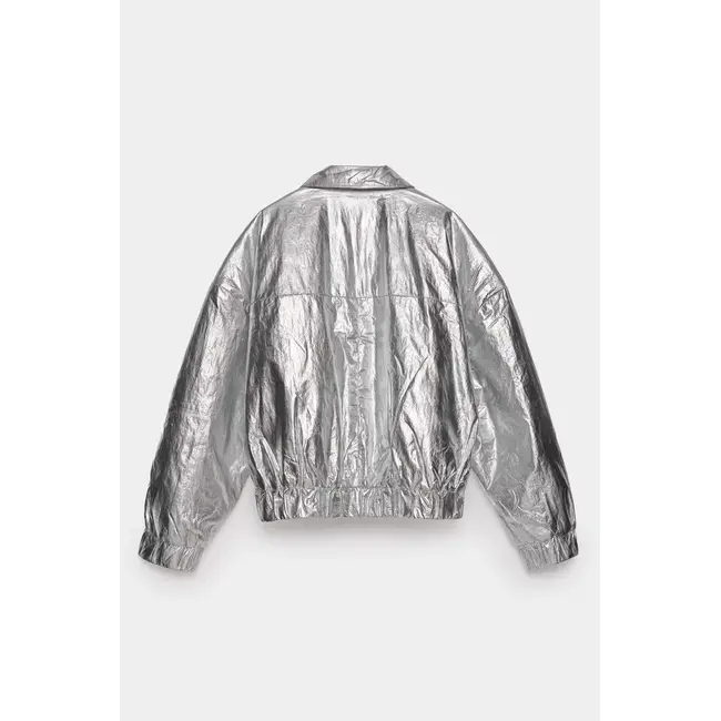 Zilver light grijs jasje