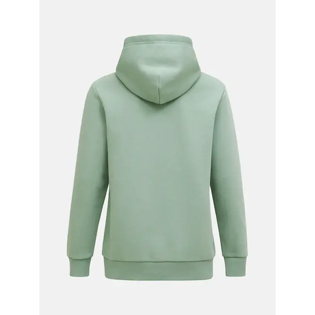 Original Small Logo Hoodie Green Valley