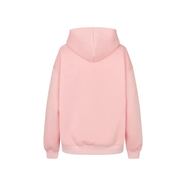 LennoxLL Sweatshirt LS Light Pink