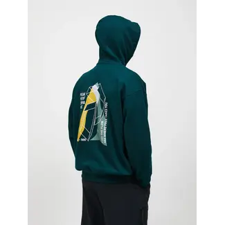 Peak Performance Graphic Hoodie Ponderosa Pine