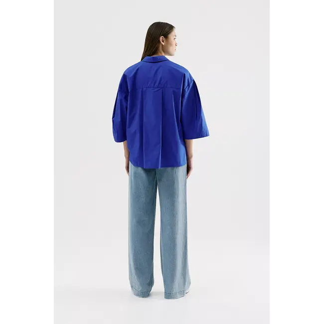 SHOMPET BLF blue bright