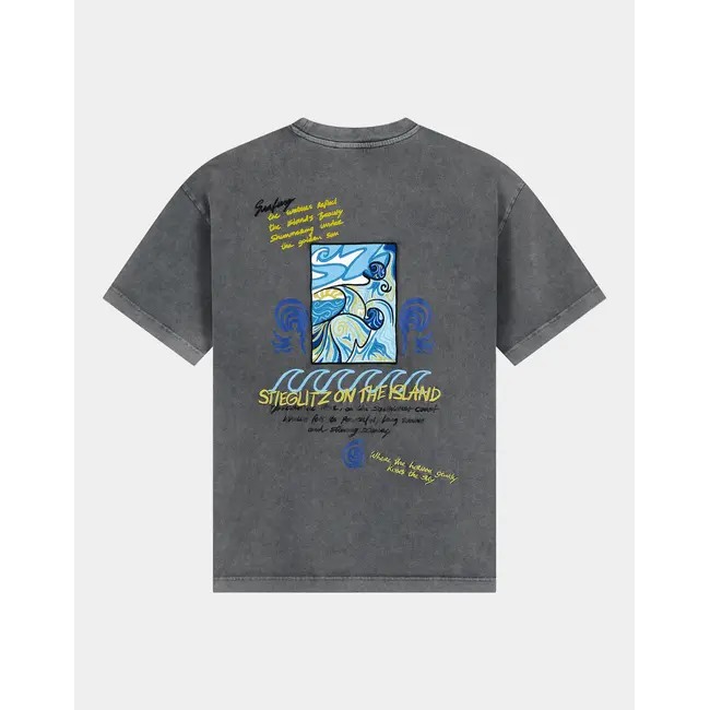 Fryda Oversized T-Shirt Grey