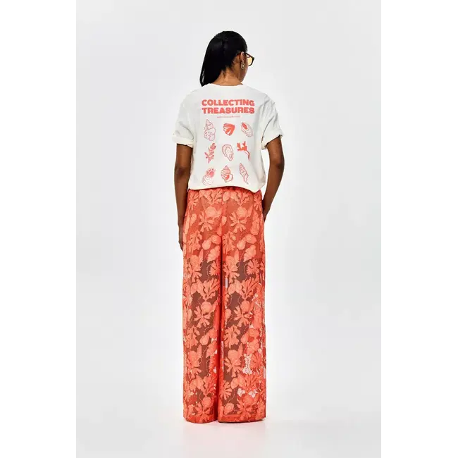 TOBYWIDE ORF Orange Bright