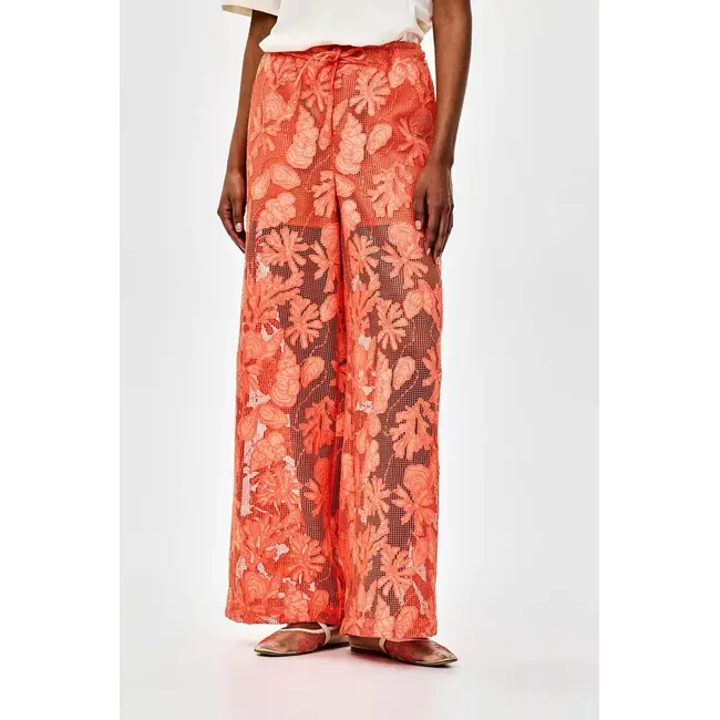 TOBYWIDE ORF Orange Bright