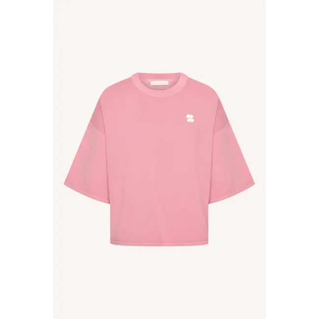 Willow Dictionary Top Dusty Pink