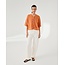 MSCHDexter Pants Egret White