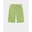 Alexio Denim Shorts Green