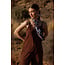 Mitzie Lace Top Chestnut