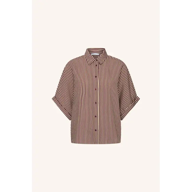 Burgundy streep blouse