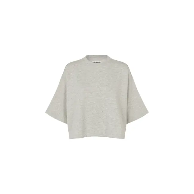 DanLL Boxy Sweatshirt 3/4 Light Grey Melange