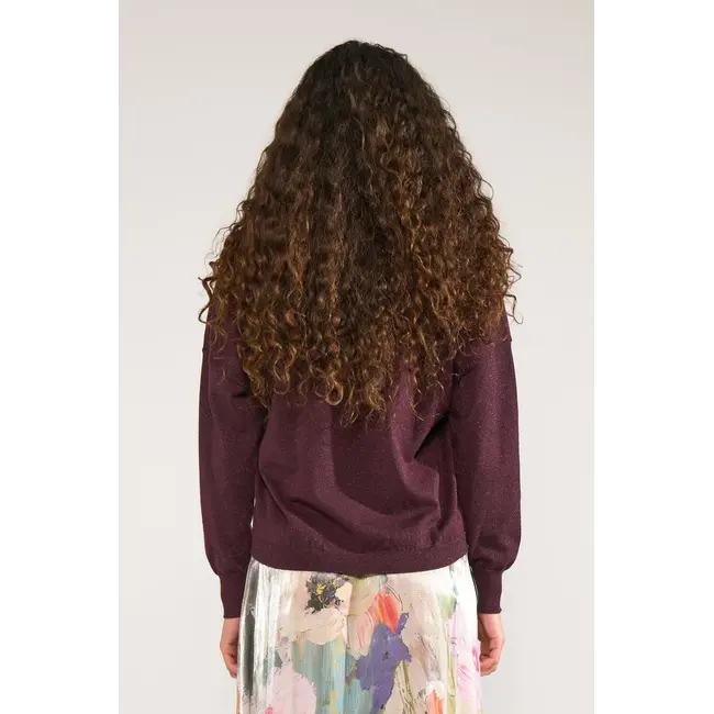 NUDAYLETTA LUREX V-NECK PULLOVER Fig