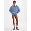 Stieglitz Longsleeve gestreept