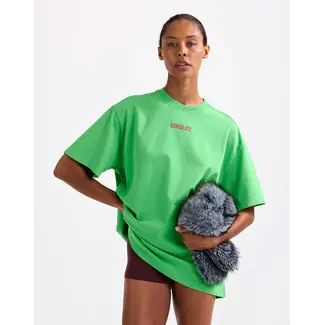 Stieglitz Vintage t-shirt oversized