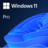 Windows 11