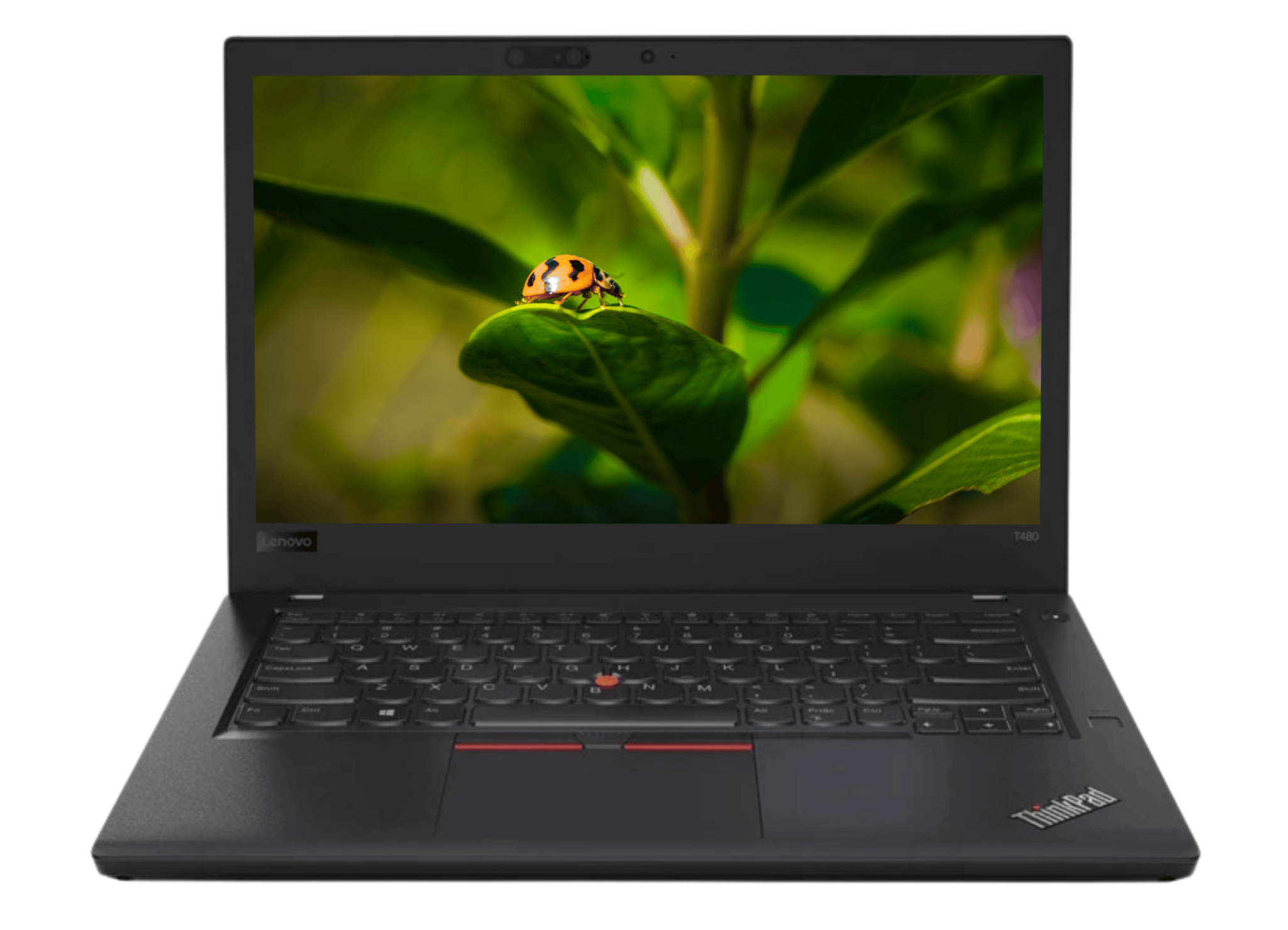 Amazon.com: Lenovo Thinkpad T480s 14