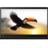 Lenovo Thinkpad X1 Carbon Gen 8