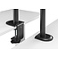 Adjustable desk stand with monitor arm and laptop holder