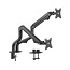 Dual monitor arm with gas spring (swivel), 17”-32”