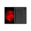 Lenovo ThinkPad P1 Intel® Core™ i7 i7-8850H - NVIDIA Quadro P1000