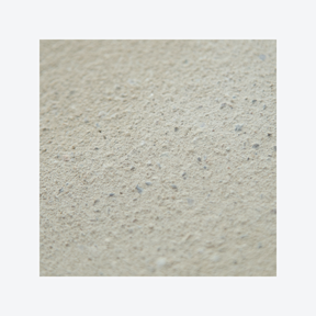 Leempleister Brusseleir