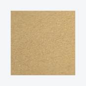 Leempleister Brusseleir