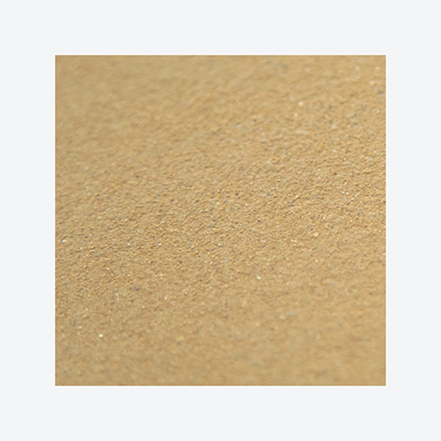 Leempleister Brusseleir