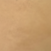 Tierrafino Base S2 Basisleem – ecologische raap- en onderlaag voor wanden en plafonds. Verkrijgbaar in universeel, fijn en extra fijn, met of zonder stro, in zakken en bigbags.