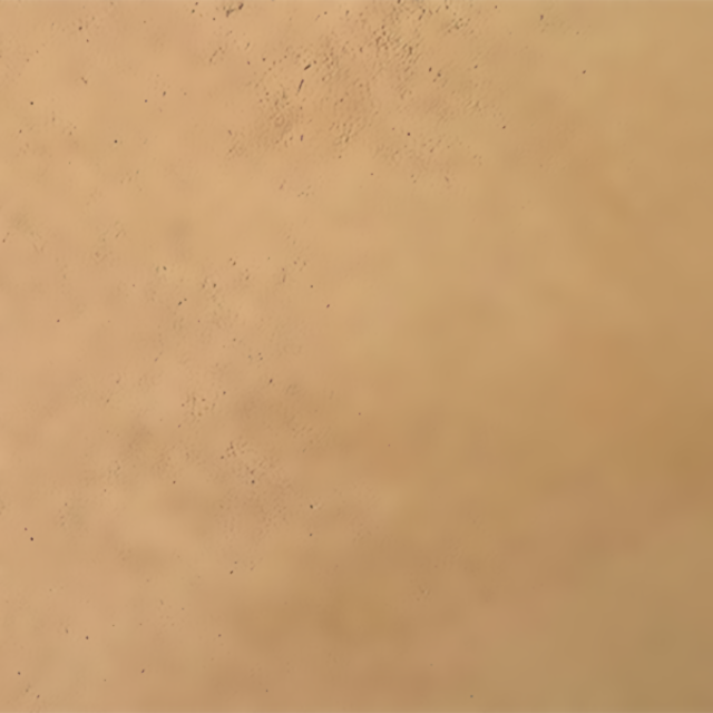 Tierrafino Base S2 Basisleem – ecologische raap- en onderlaag voor wanden en plafonds. Verkrijgbaar in universeel, fijn en extra fijn, met of zonder stro, in zakken en bigbags.