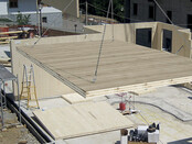 WASP hijs- en transporthaak