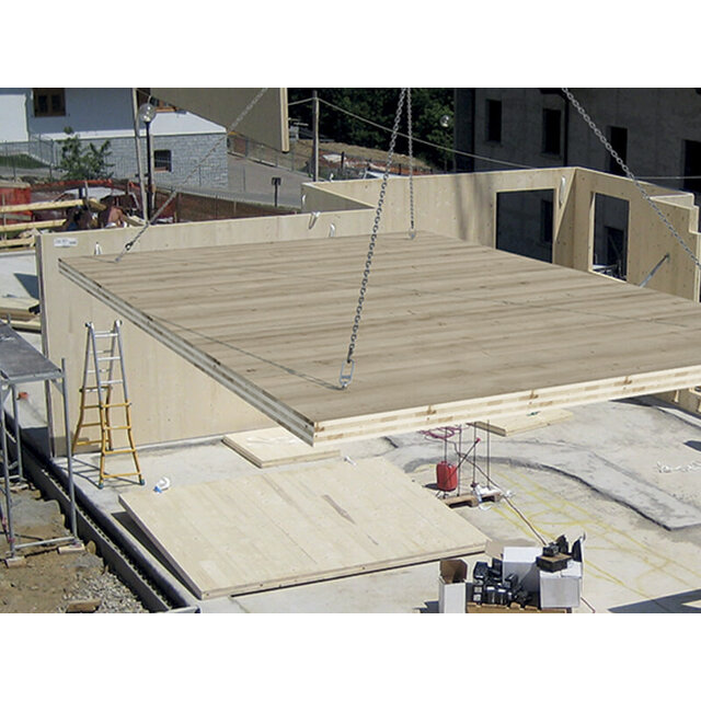 WASP hijs- en transporthaak