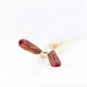 Gebogen penseel Staalmeester Series 2010