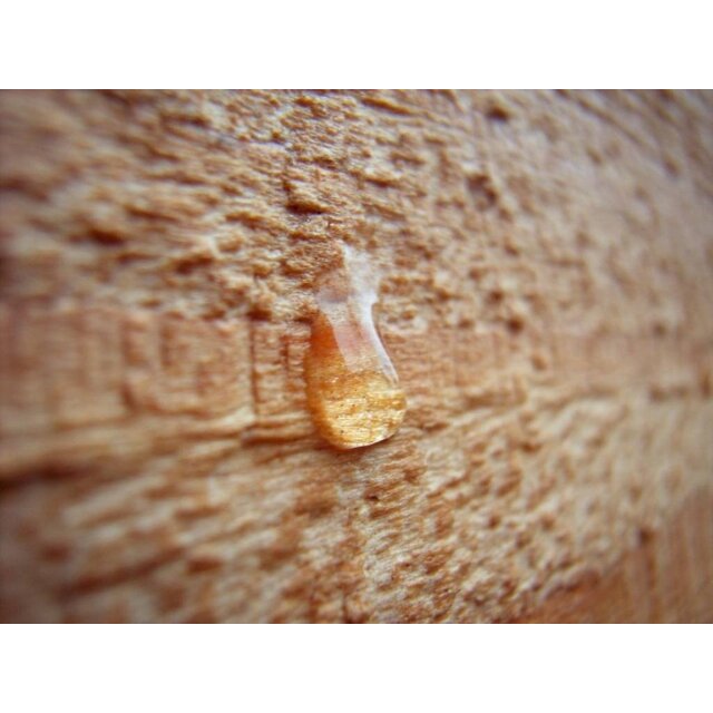 WoodCare Pflegeöl AS