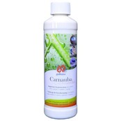 Carnauba - beschermende polish