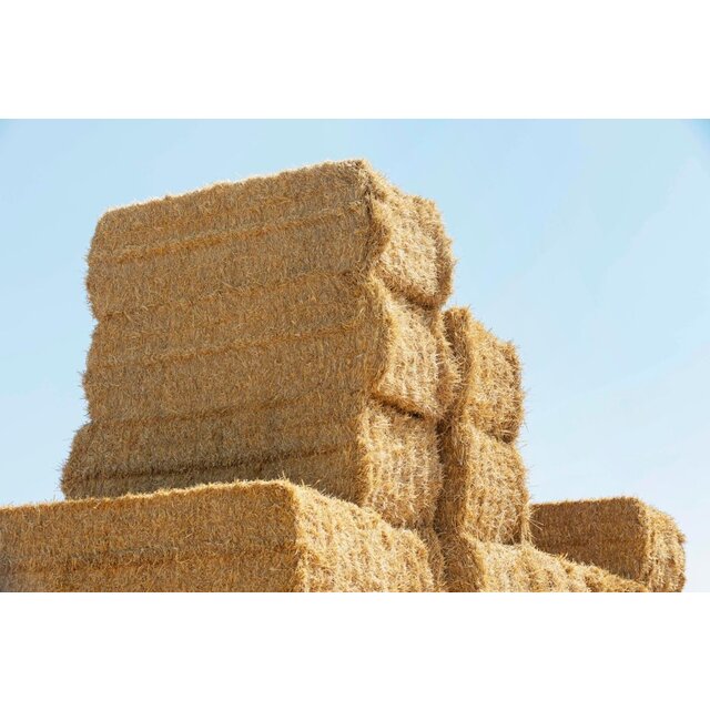 BioBlow Stro Isolatie